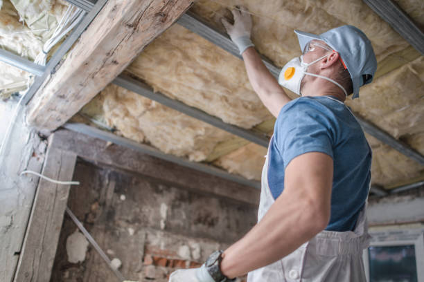 Best Specialized Insulation Services in White Oak, MS