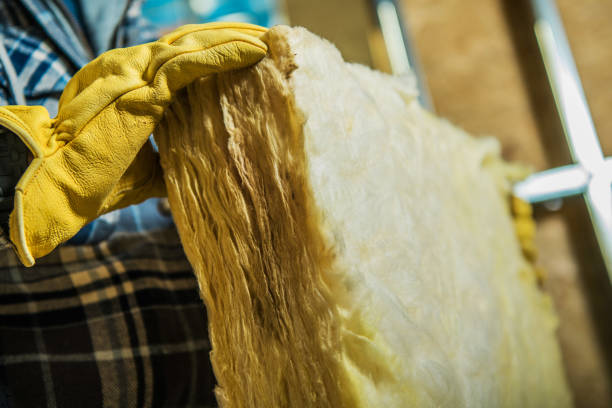 Professional Insulation Contractor in White Oak, MS